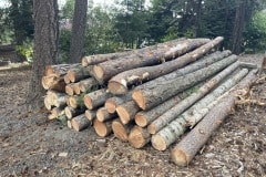 east-slope-earthworks-land-clearing-5092