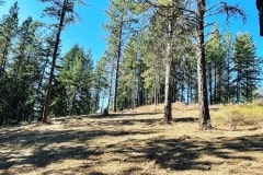 east-slope-earthworks-mulching-firewise-02