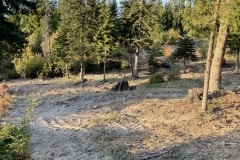east-slope-earthworks-mulching-firewise-2096-6