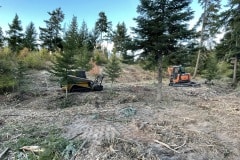 east-slope-earthworks-mulching-firewise-2103-6