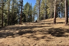 east-slope-earthworks-mulching-firewise-2265