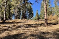 east-slope-earthworks-mulching-firewise-2267