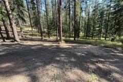 east-slope-earthworks-mulching-firewise-2268