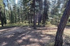 east-slope-earthworks-mulching-firewise-2269