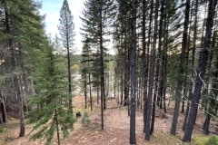 east-slope-earthworks-mulching-firewise-2430