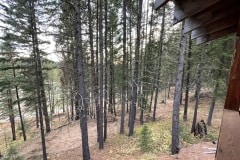 east-slope-earthworks-mulching-firewise-2431