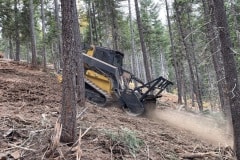 east-slope-earthworks-mulching-firewise-2443