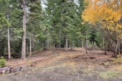east-slope-earthworks-mulching-firewise-2460