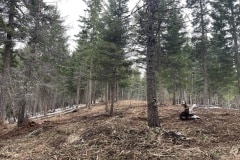 east-slope-earthworks-mulching-firewise-2609
