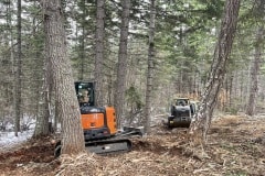east-slope-earthworks-mulching-firewise-2611