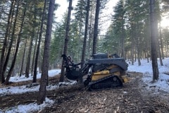 east-slope-earthworks-mulching-firewise-2620