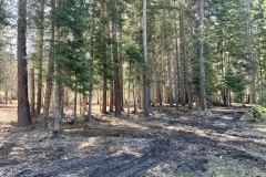 east-slope-earthworks-mulching-firewise-4141