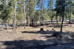 east-slope-earthworks-mulching-firewise-4143