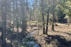 east-slope-earthworks-mulching-firewise-4144