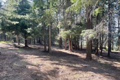 east-slope-earthworks-mulching-firewise-4302