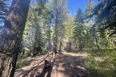east-slope-earthworks-mulching-firewise-4304