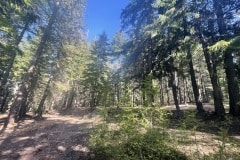 east-slope-earthworks-mulching-firewise-4307