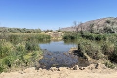 east-slope-earthworks-stream-restoration-5210