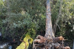 east-slope-earthworks-stream-restoration-5515