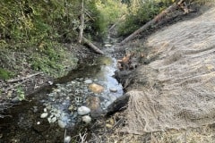 east-slope-earthworks-stream-restoration-5548