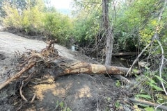 east-slope-earthworks-stream-restoration-5555